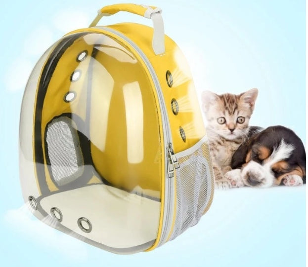 Full-Transparent Cat Space Backpack