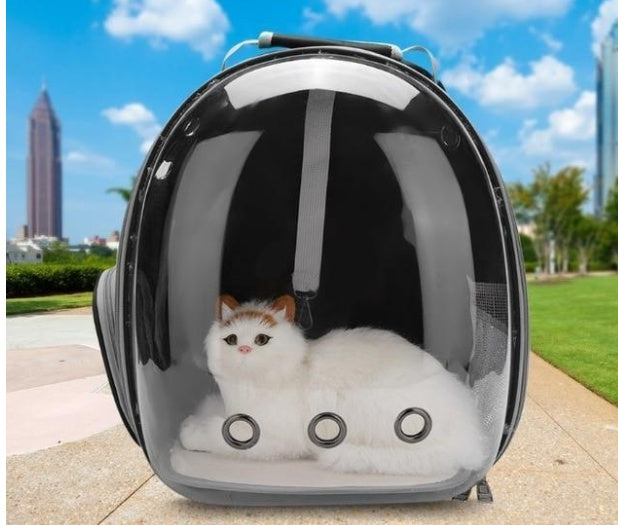 Full-Transparent Cat Space Backpack