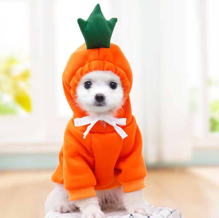 Cute Dog Hoodie