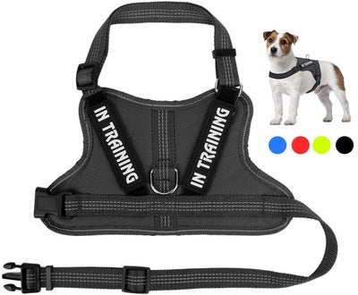 Personalized Pet Harness