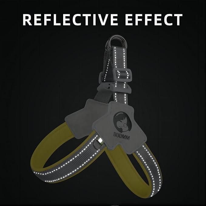 Adjustable Pet Harness & Leash Set