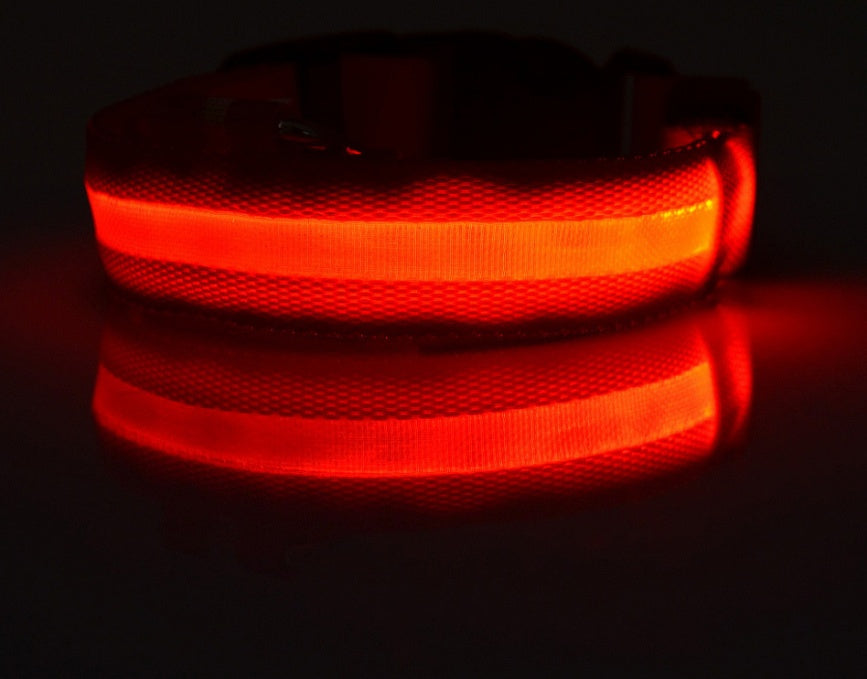 LED Light-Up Nylon Collar