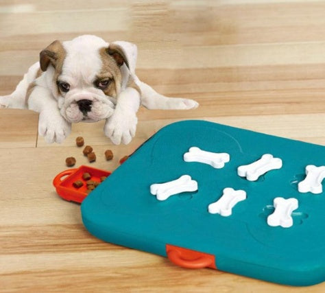 Interactive Pet Casino Puzzle Toy