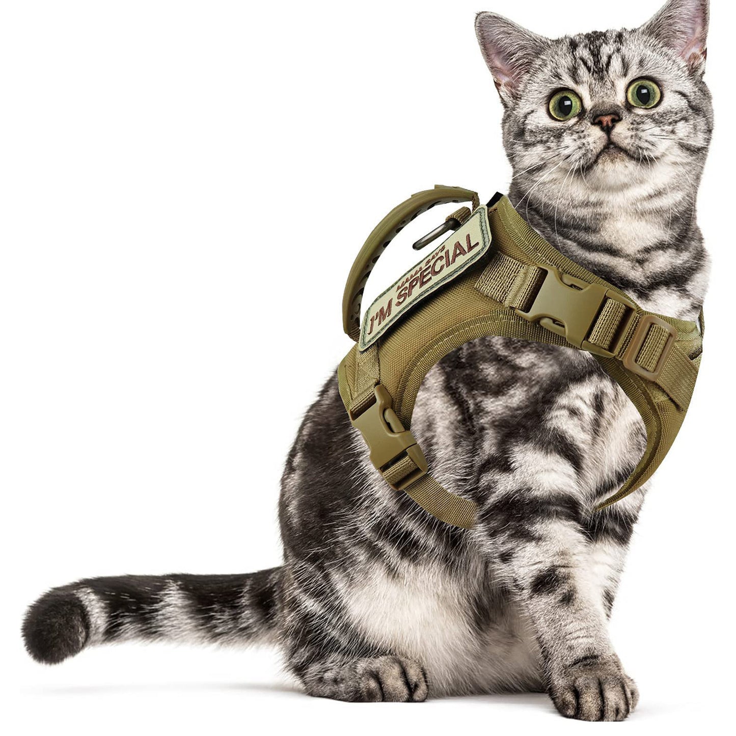 Cat Chest Strap Vest with Leash