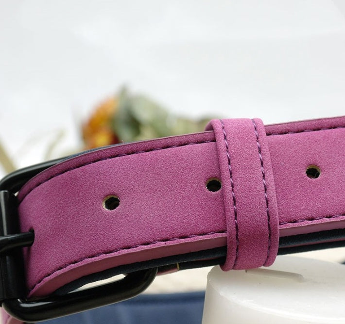 Custom Leather Dog ID Collar
