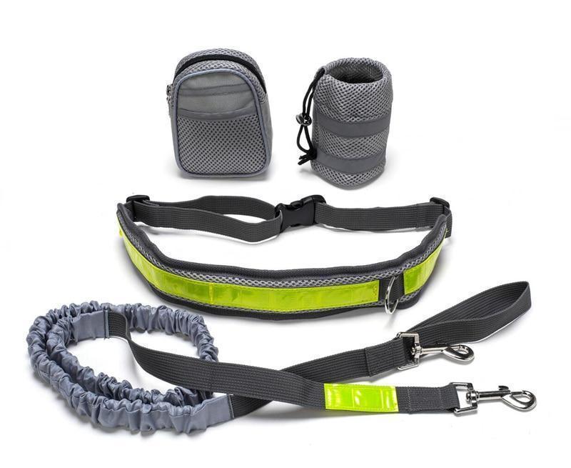 Adjustable Hands-Free Dog Leash
