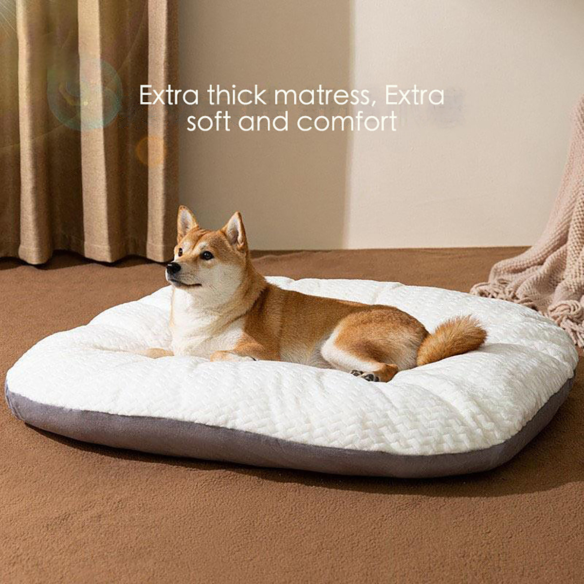 Oval Plush Dog Bed for Large Dogs
