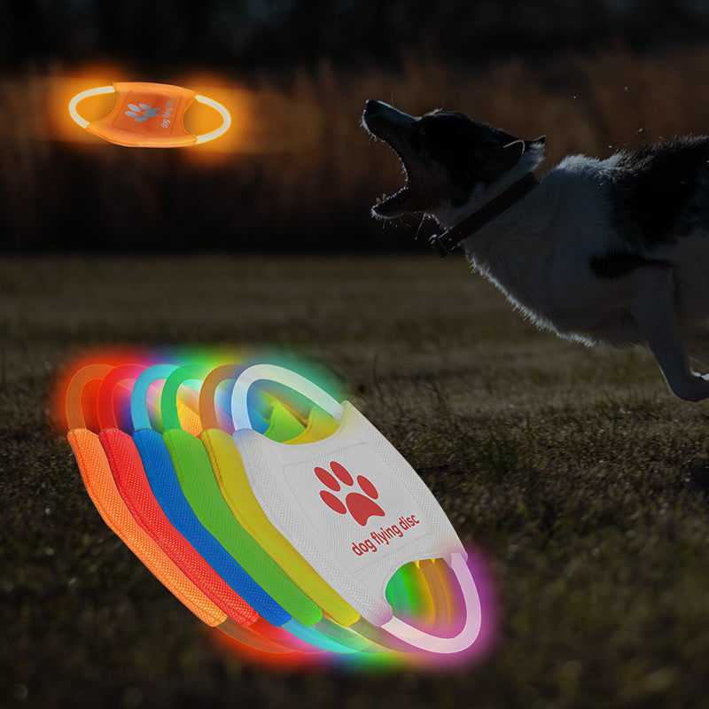 LED Light-Up Dog Flying Disc