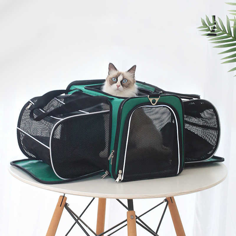 Pets Go Out Space Capsule Backpack