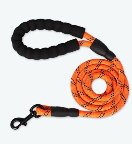 Reflective Nylon Dog Leash