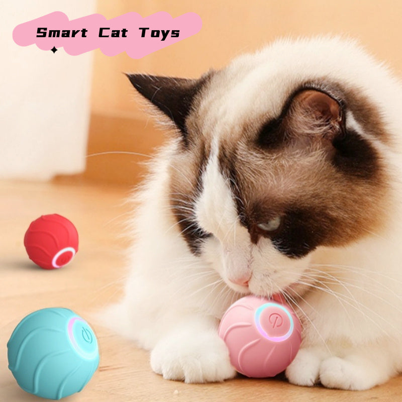 Smart Bouncing Cat Ball