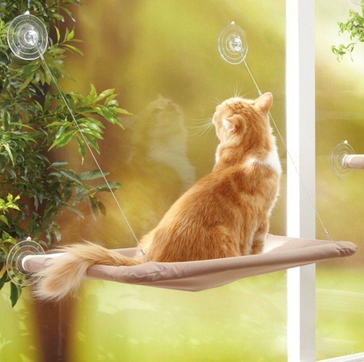 Window Mounted Cat Bed