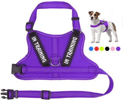 Personalized Pet Harness