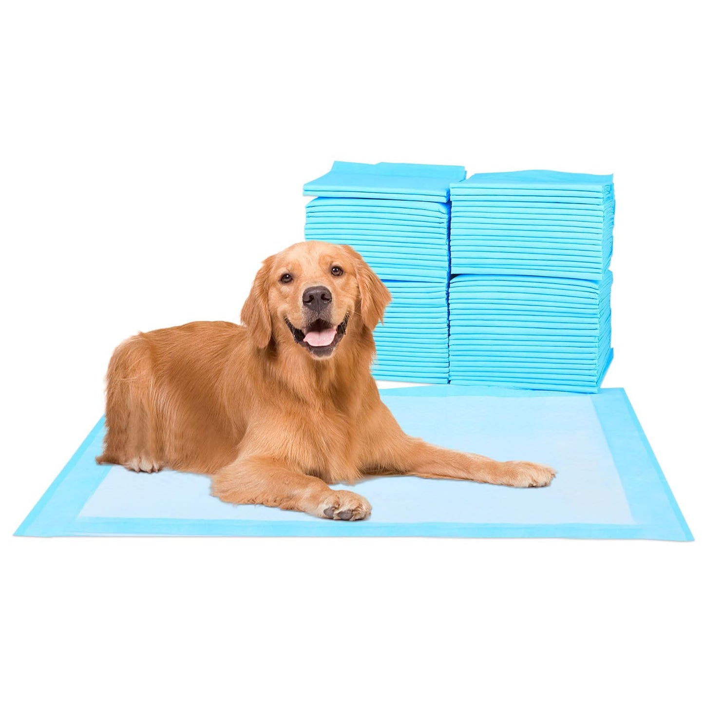 Premium Disposable Training Pads