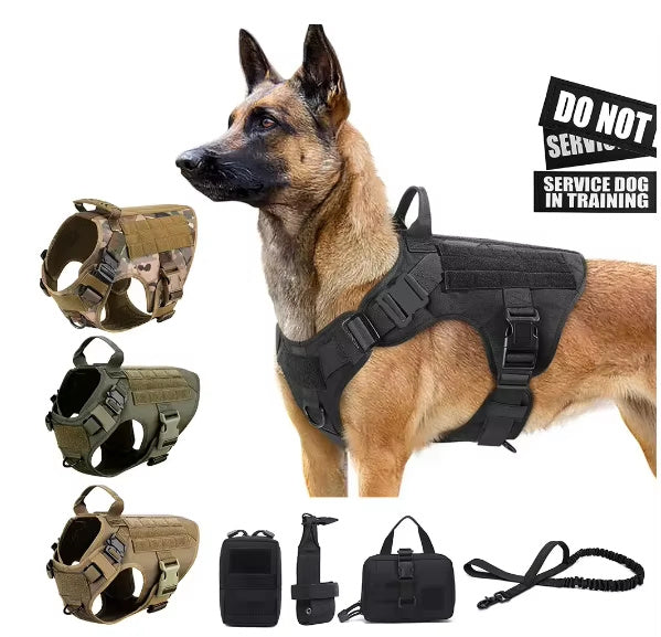 Tactical Dog Harness & Leash Set