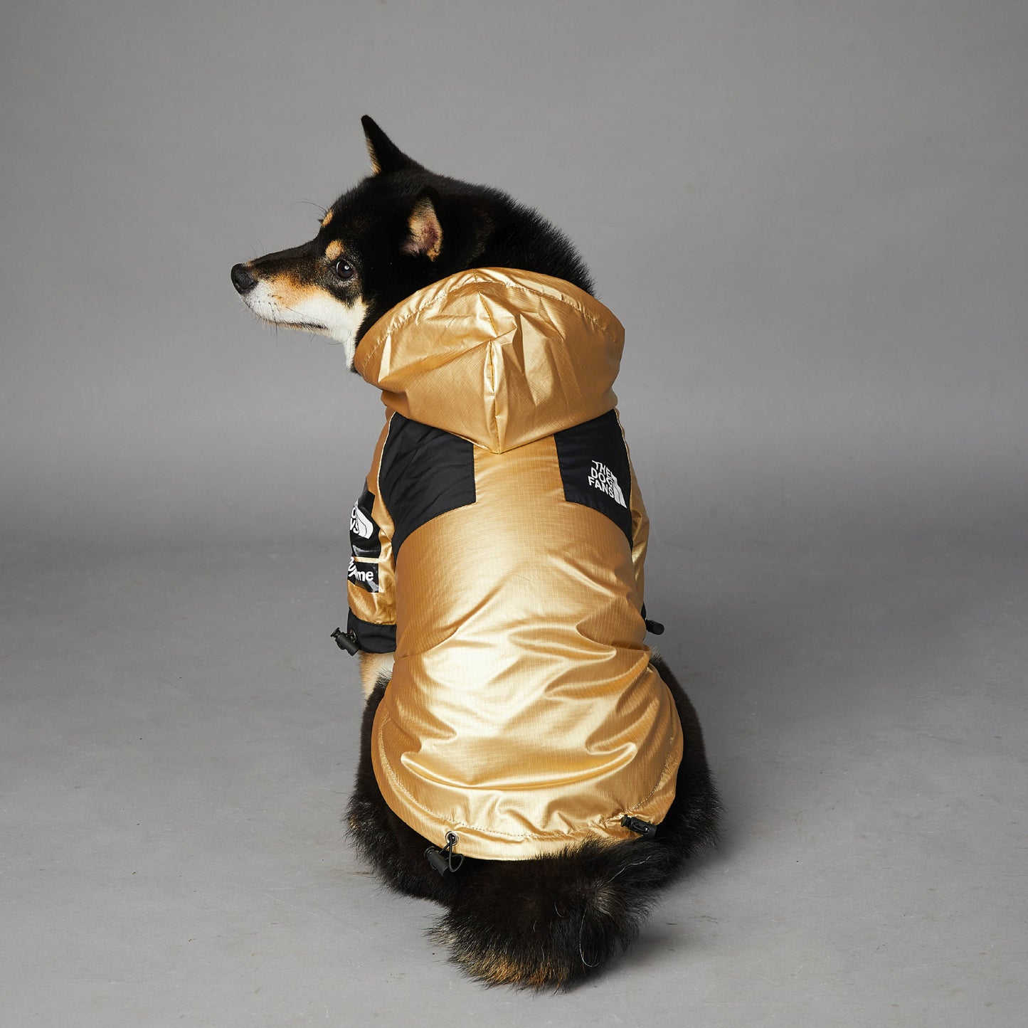 Gold Waterproof Raincoat Jacket