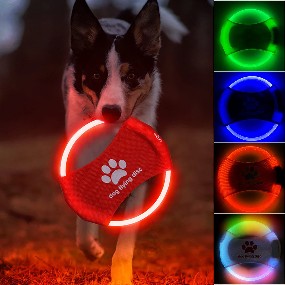 LED Light-Up Dog Flying Disc