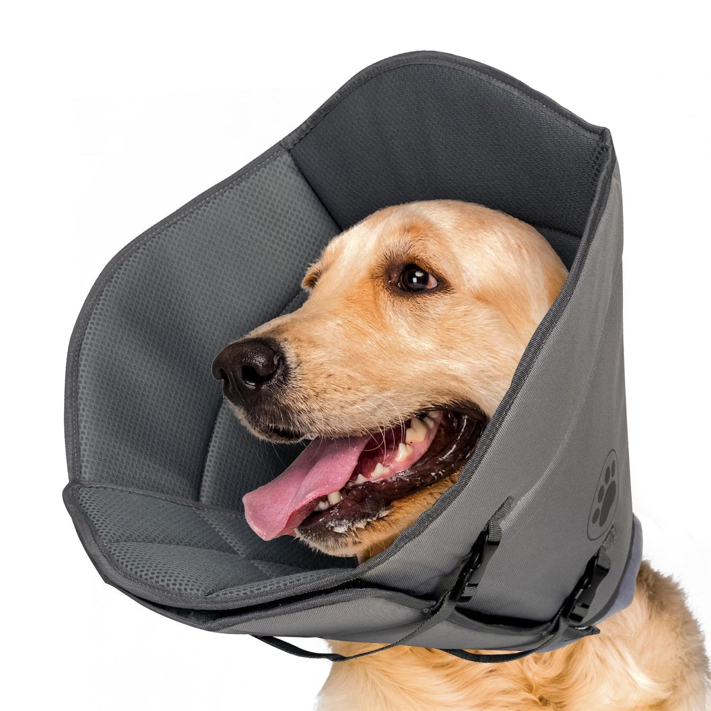 iFurffy Soft Dog Recovery Cone