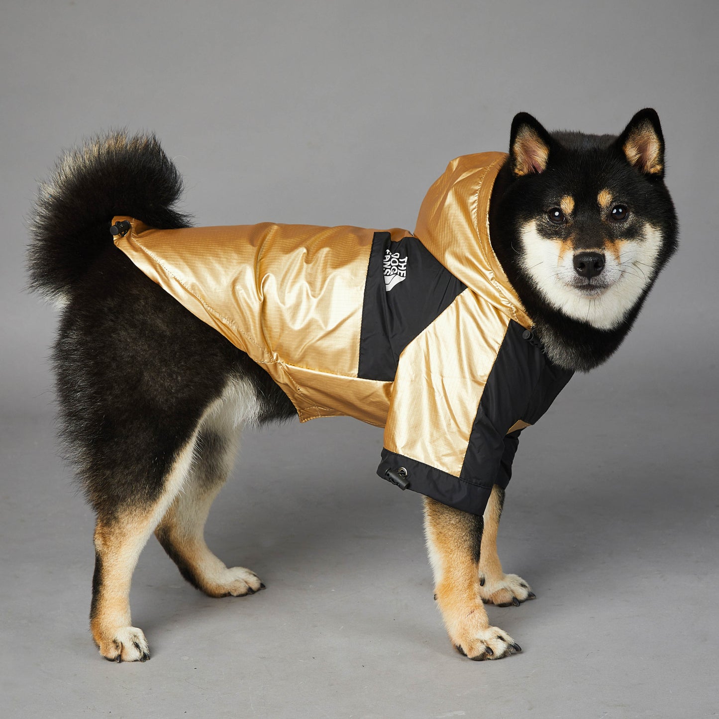 Gold Waterproof Raincoat Jacket