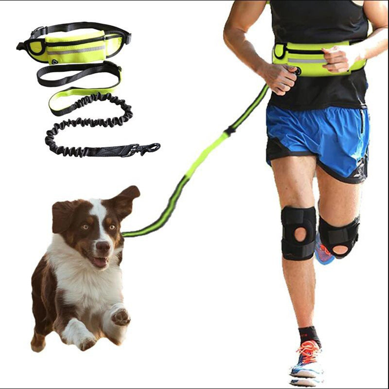 Hands-Free Dog Leash with Waist Belt