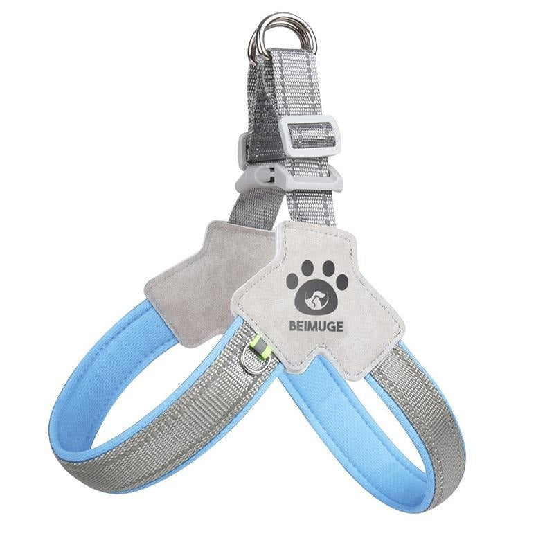 Adjustable Pet Harness & Leash Set