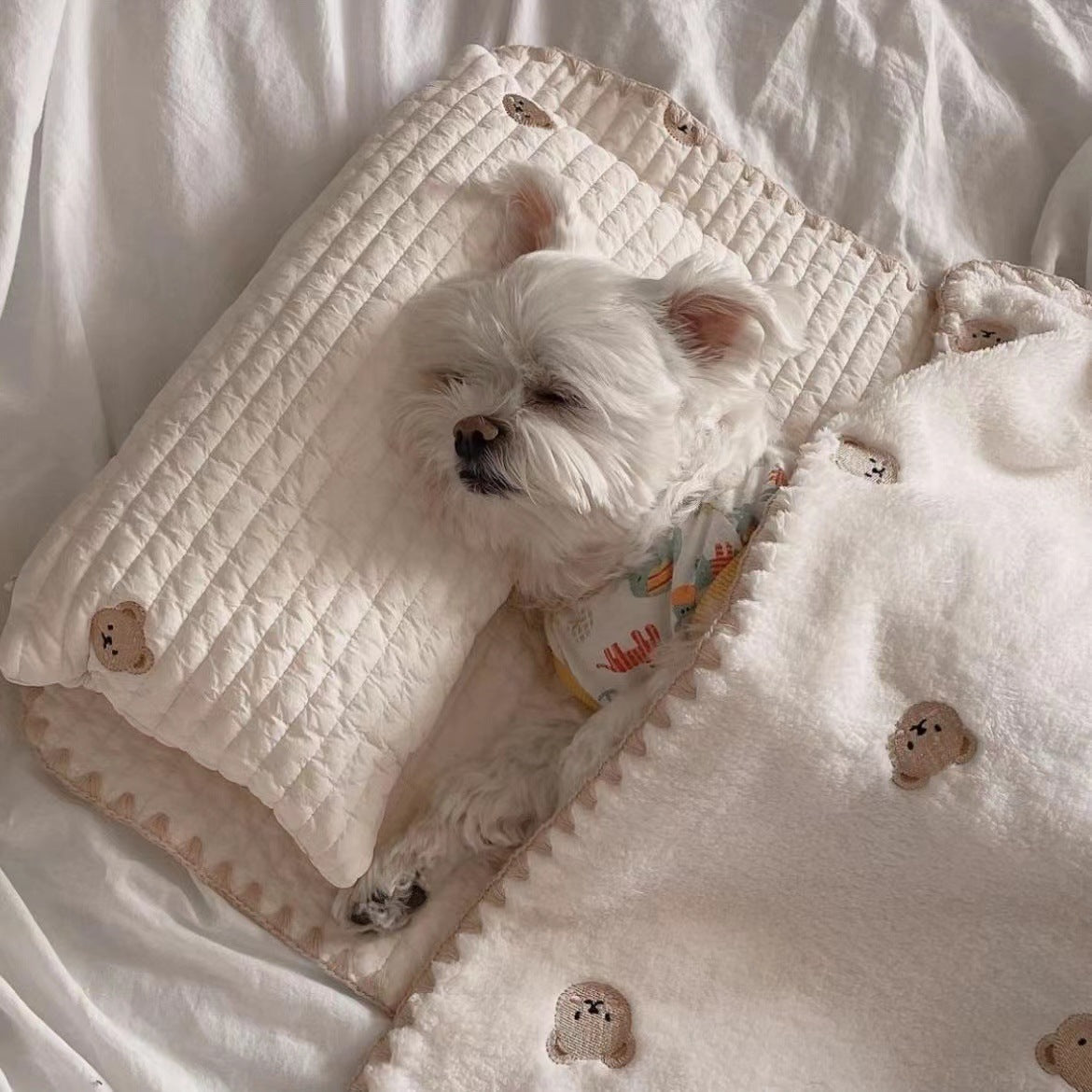 Fashion Square Mat Dog Bed