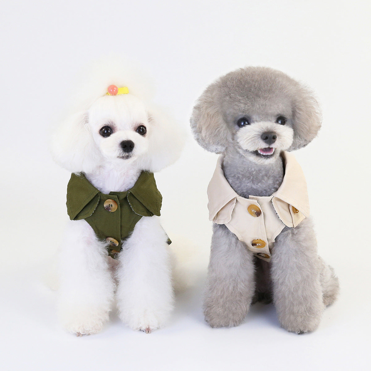 Stylish Pet Clothes