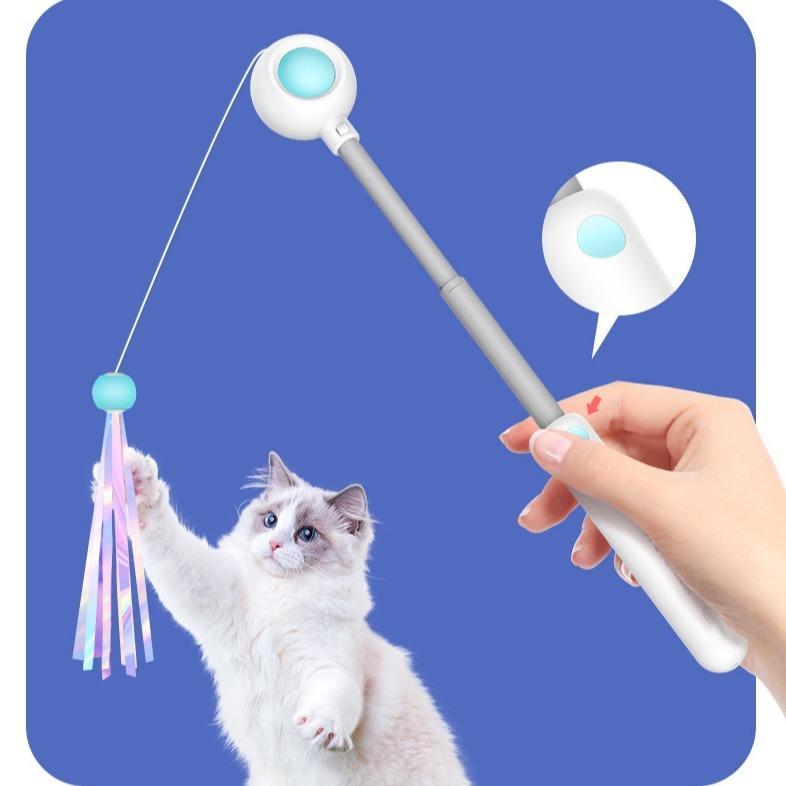 Retractable Cat Teaser Wand & Laser Toy