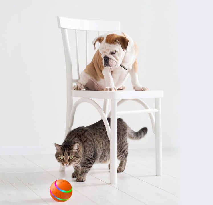 Wicked Ball – Smart Self-Rotating Cat Toy