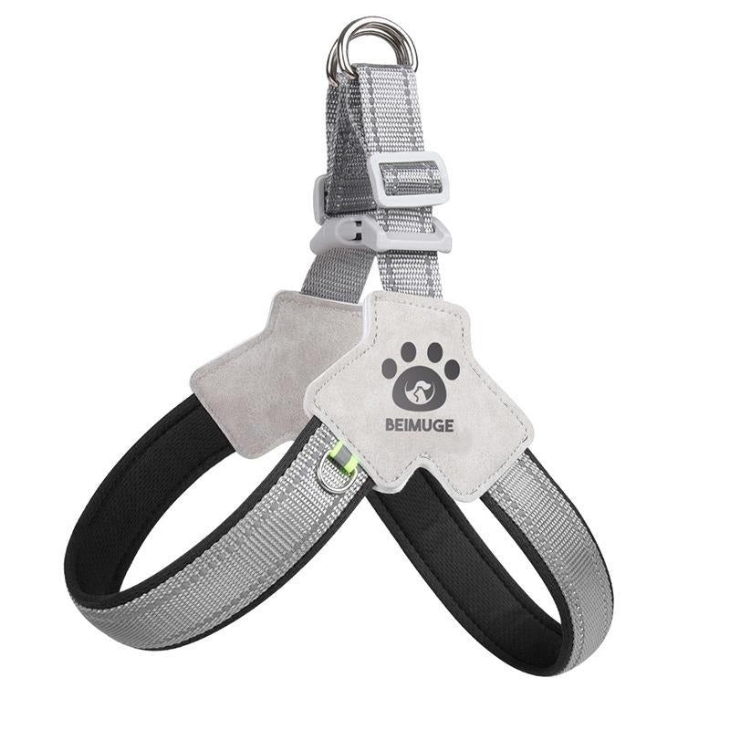 Adjustable Pet Harness & Leash Set