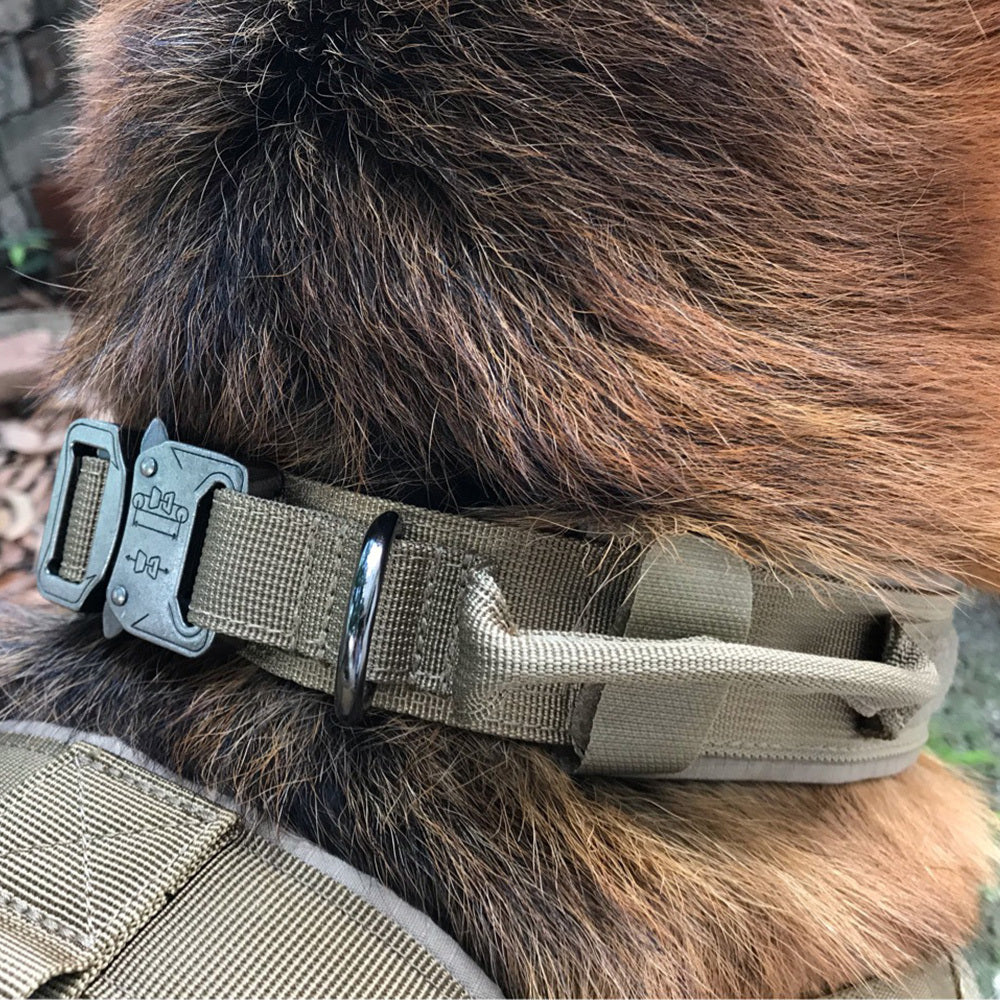 Heavy-Duty Tactical Dog Collar