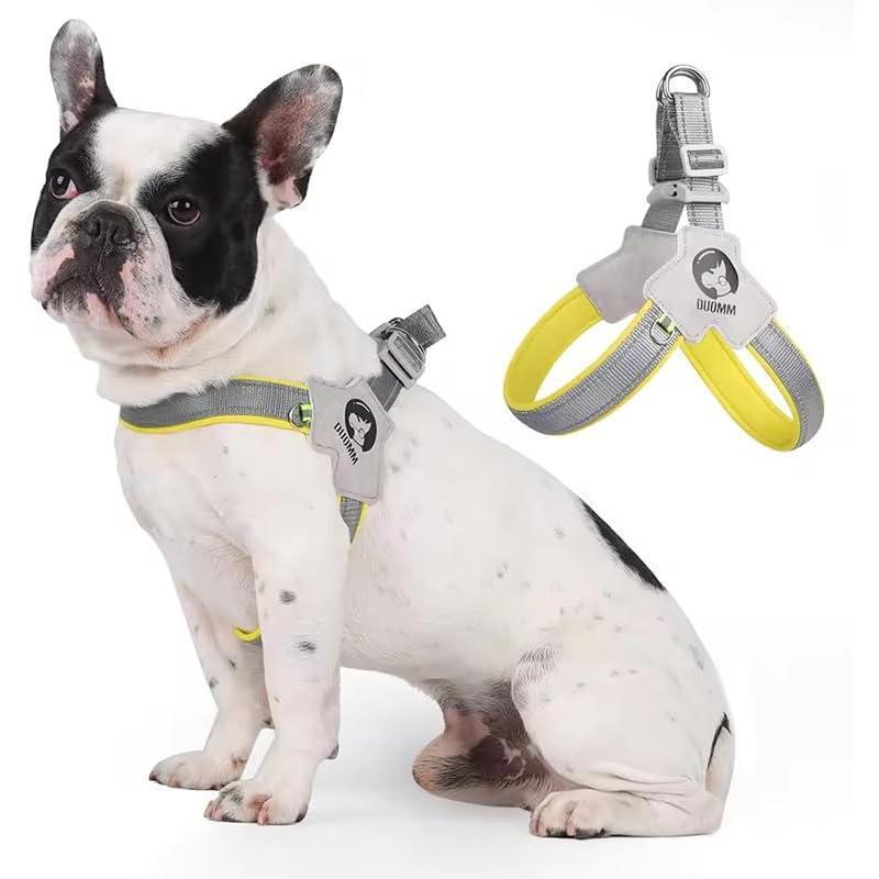 Adjustable Pet Harness & Leash Set