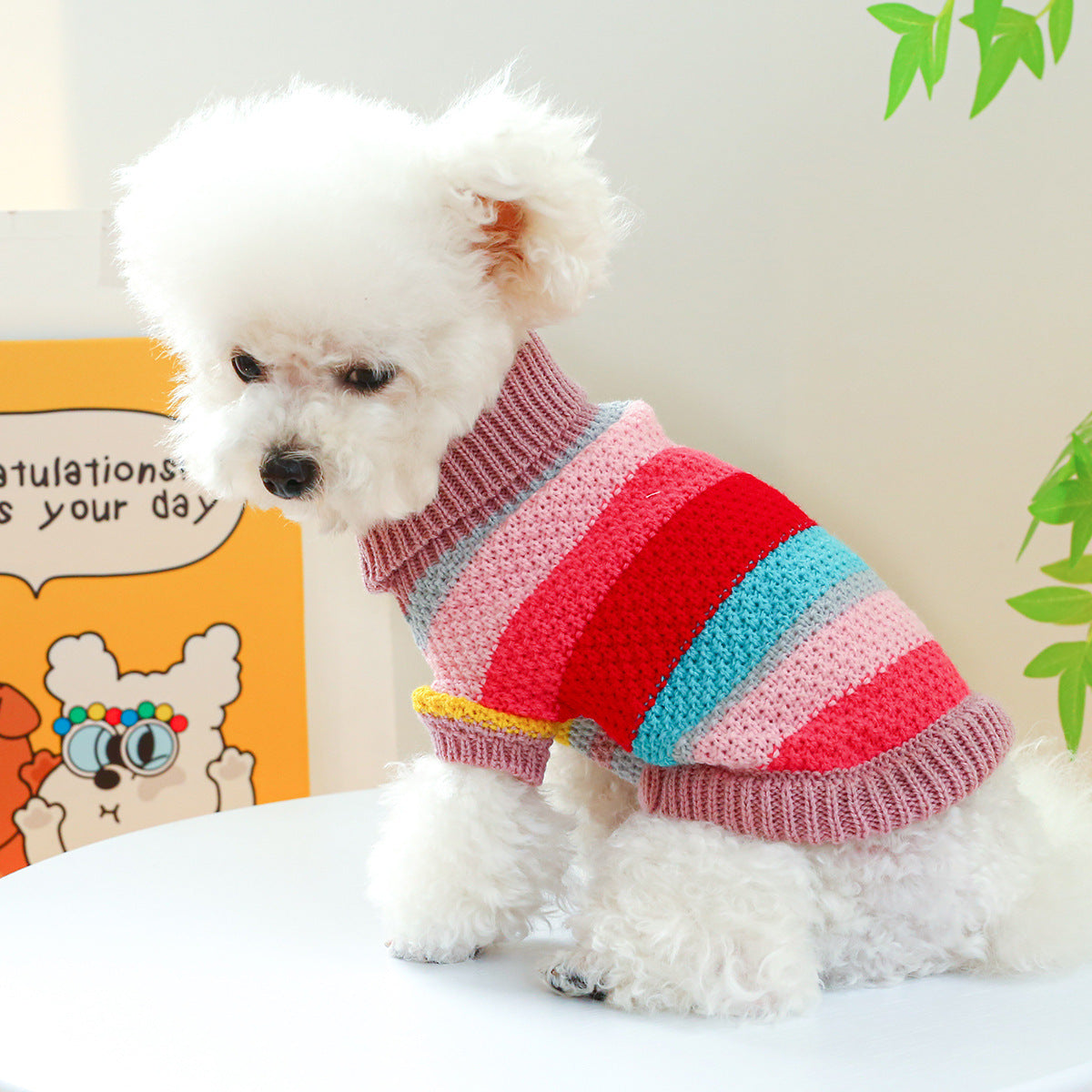 Colorful Striped Pet Sweater