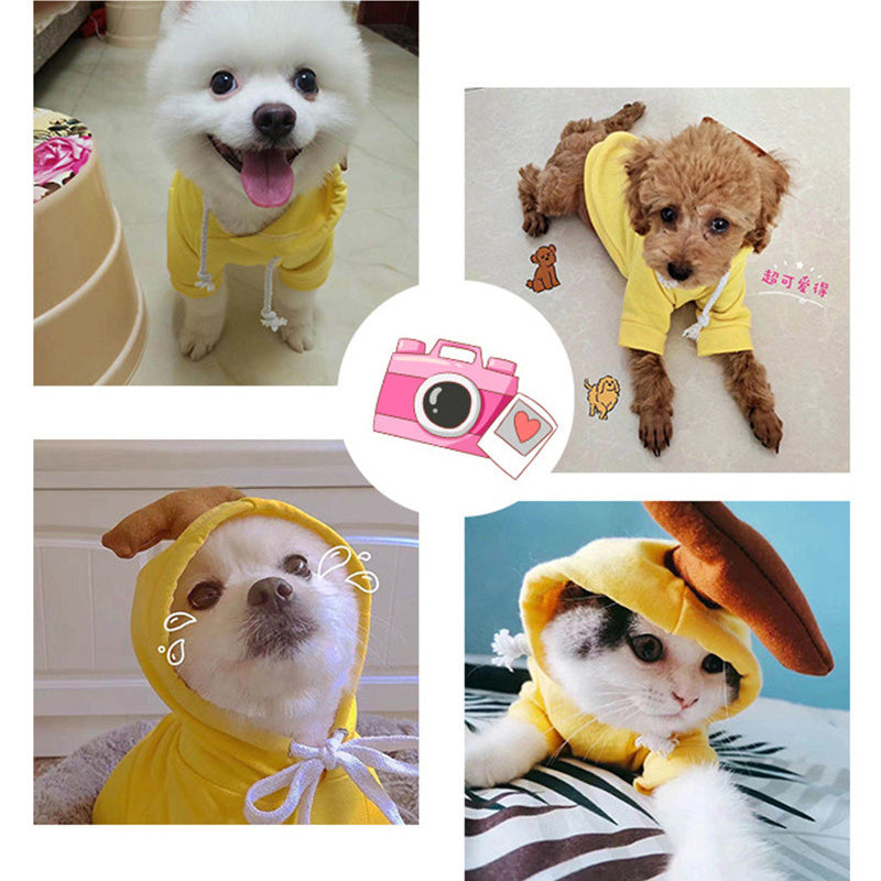Cute Dog Hoodie
