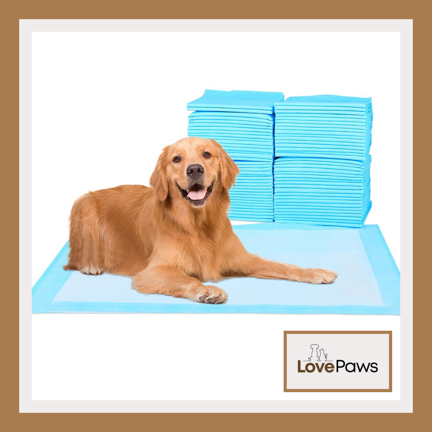 Premium Disposable Training Pads