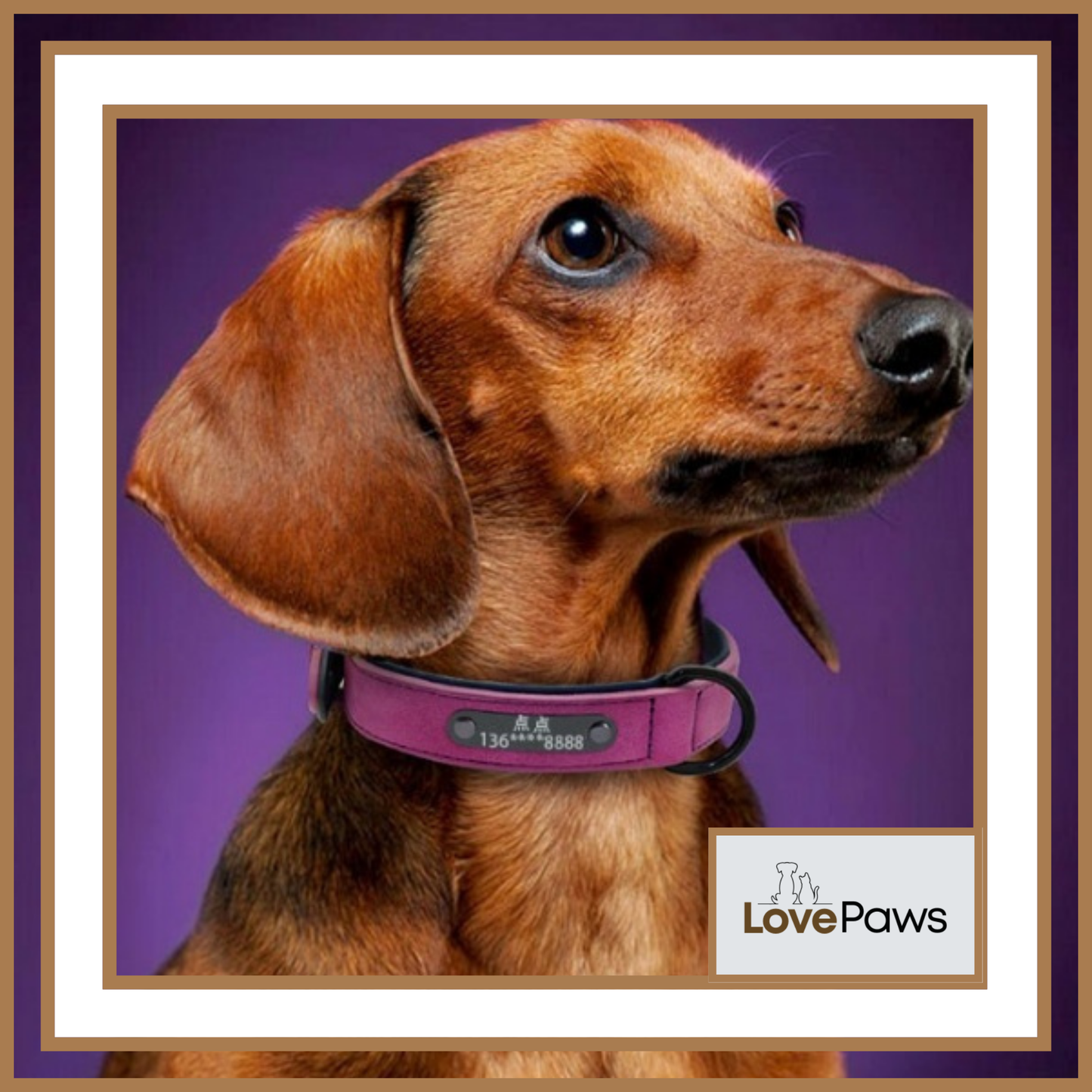 Custom Leather Dog ID Collar