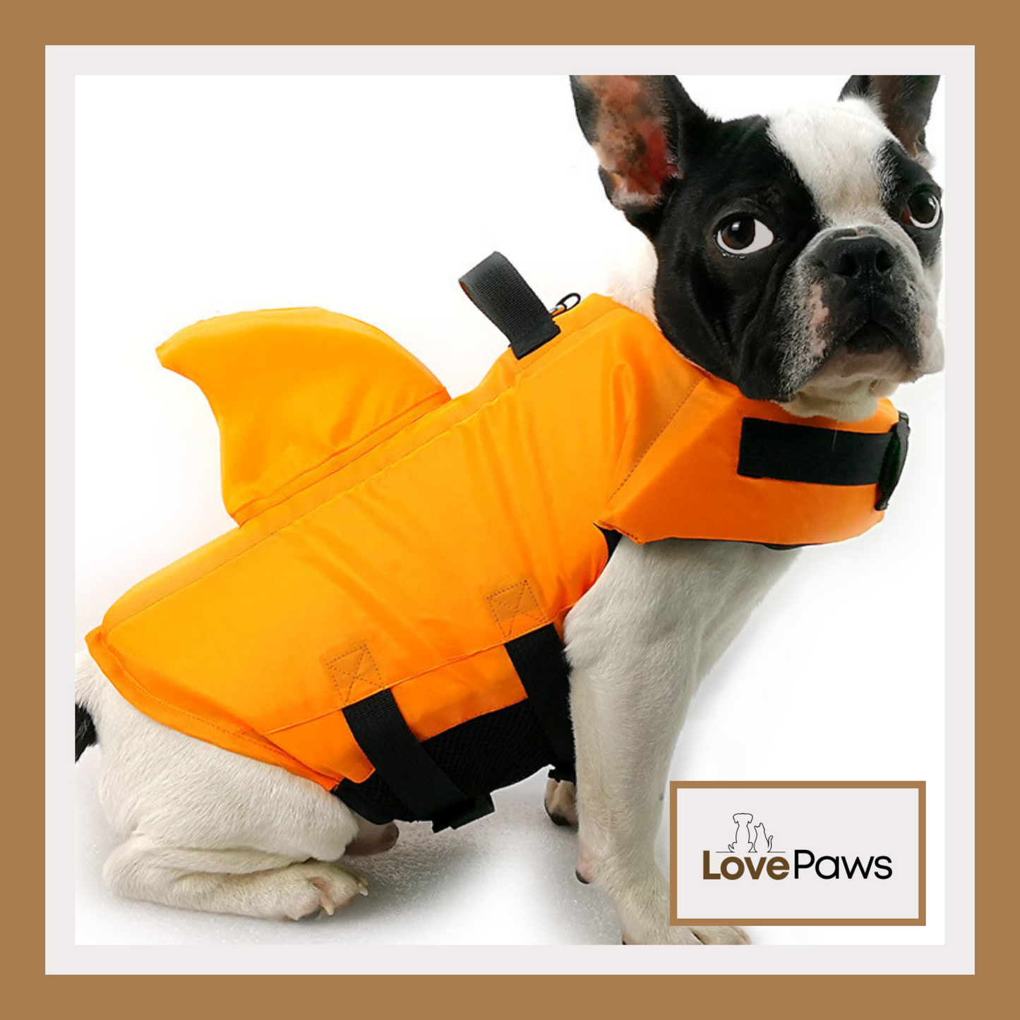 Shark Dog Life Vest