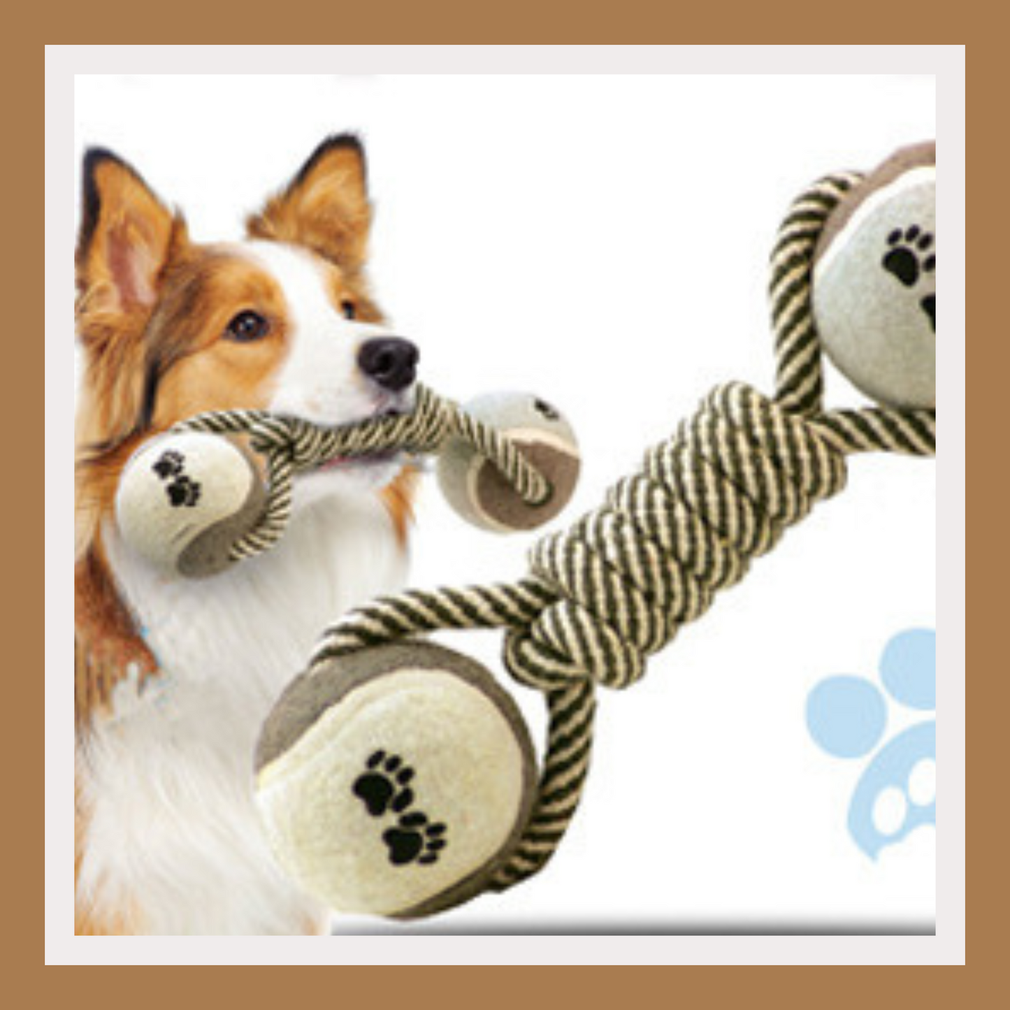 Pet Dumbbell Rope Tennis Ball Chew Toy