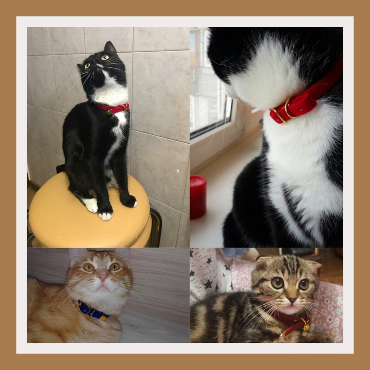 Soft Flocking Cat Collar