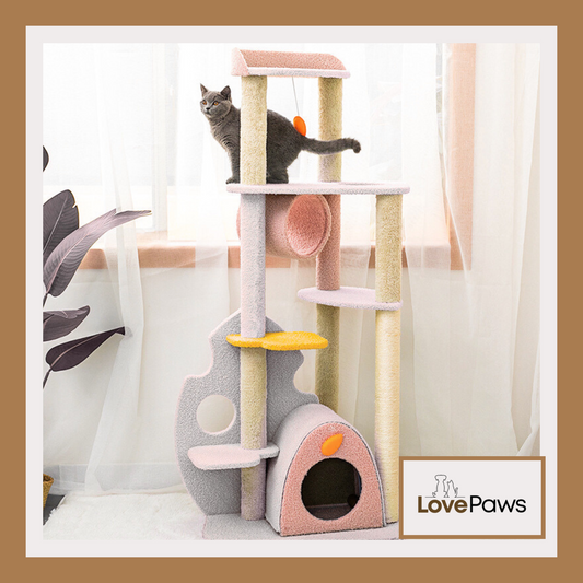 Large Cat Scratching Post Cat Life Supplies Toys