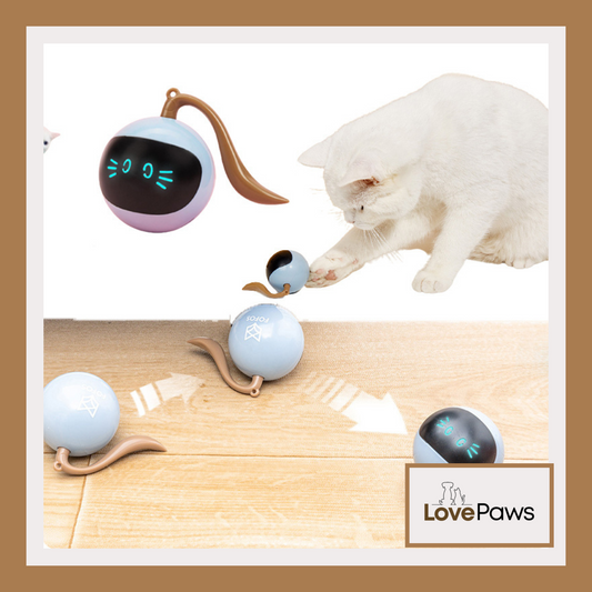 Smart LED Rotating Ball