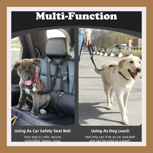 Adjustable Pet Harness & Leash Set