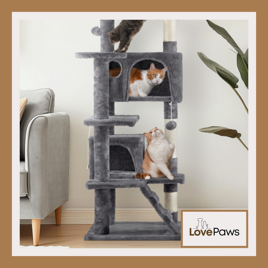 53-Inch Multi-Level Cat Tree Condo