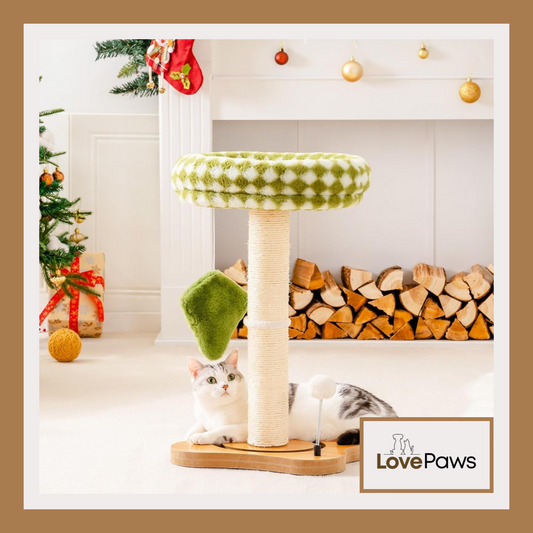 Mewoo Cat Scratching Post & Bed