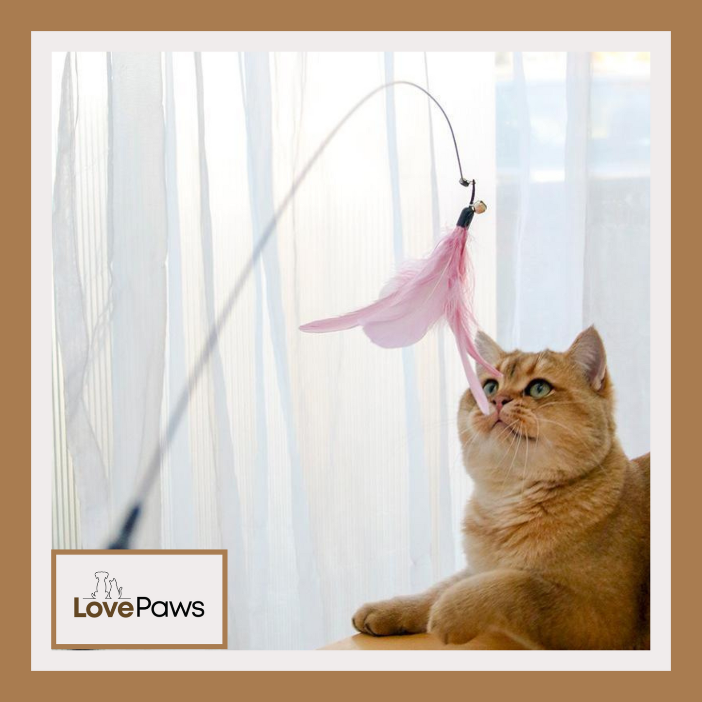 Retractable Cat Teaser Wand & Laser Toy