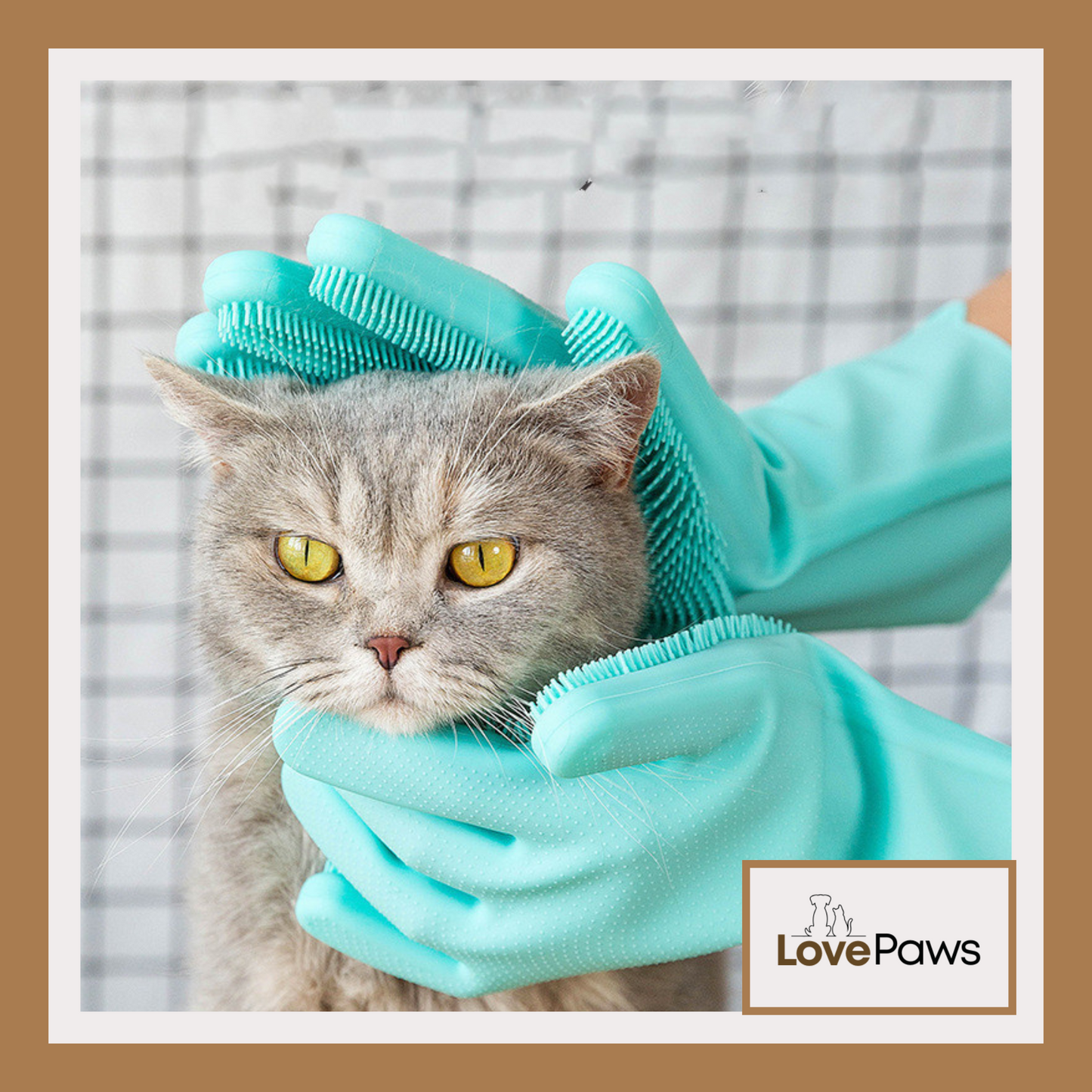 Cat Massage Grooming Glove