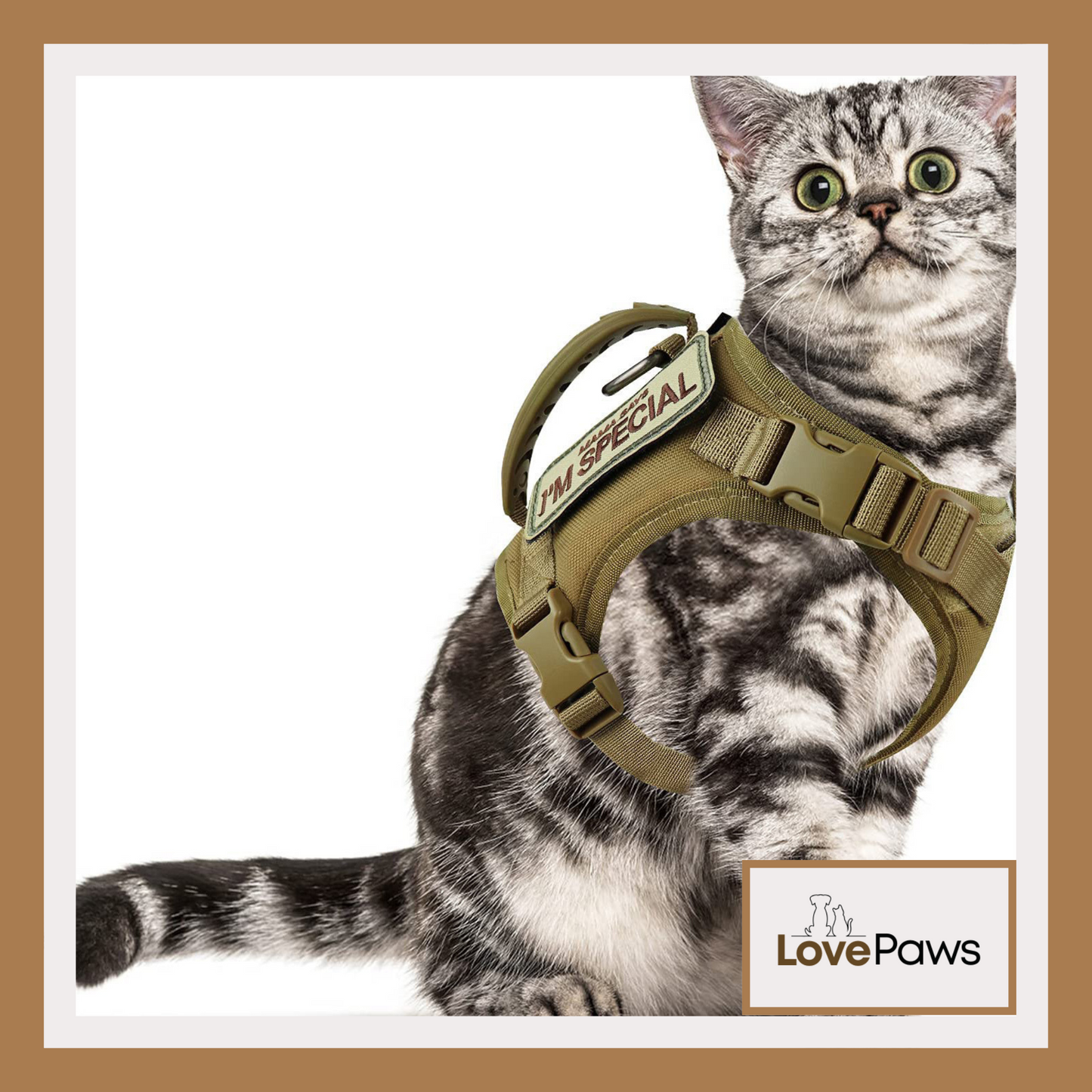 Cat Chest Strap Vest with Leash