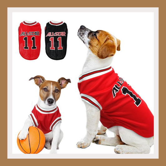 Summer Style for Sporty Pups