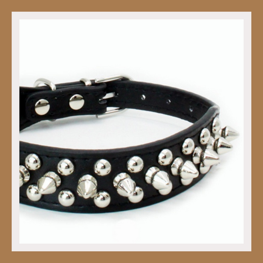 Stylish Dog Chain Collar