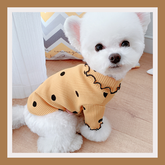 Turtleneck Dog Shirt